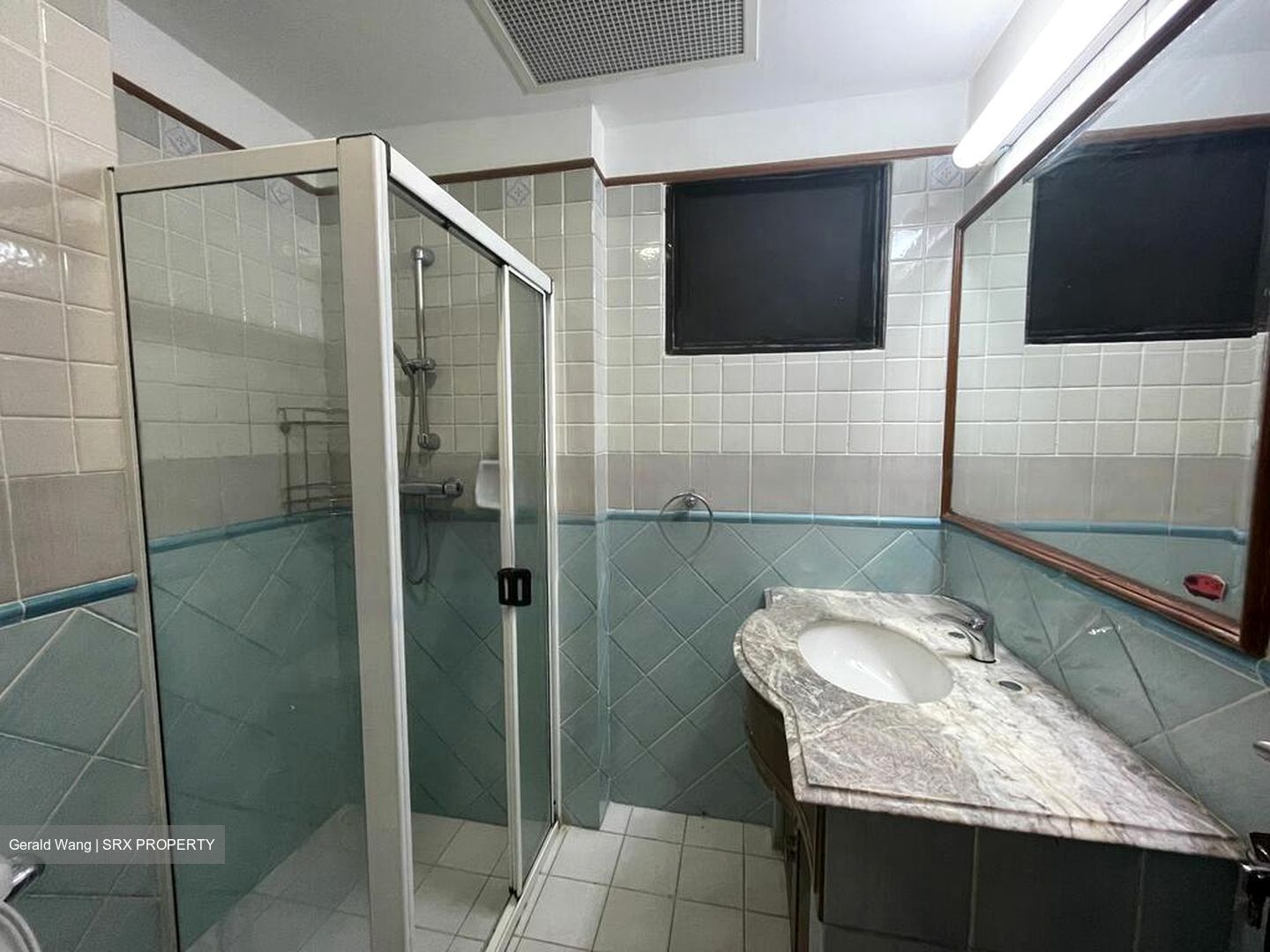 Dover Parkview (D5), Condominium #463193761